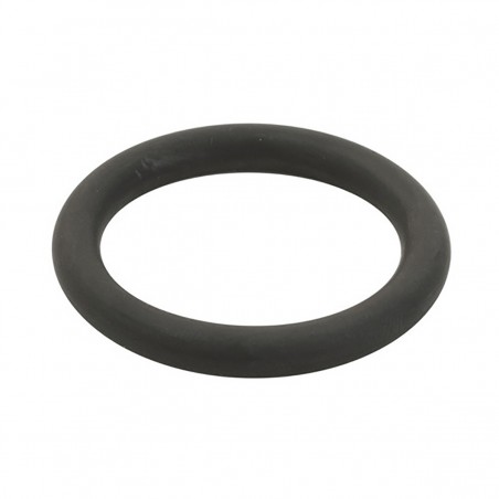 ORING PISTON REPUES PARA DEMOLEDOR D25900K DEWALT 487213-00