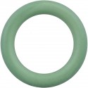 ORING P/11258 BOSCH - 1610210186